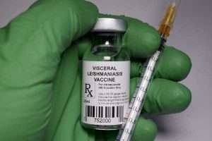 VeterinarioaDomicilio-Leishmaniosis-vacuna